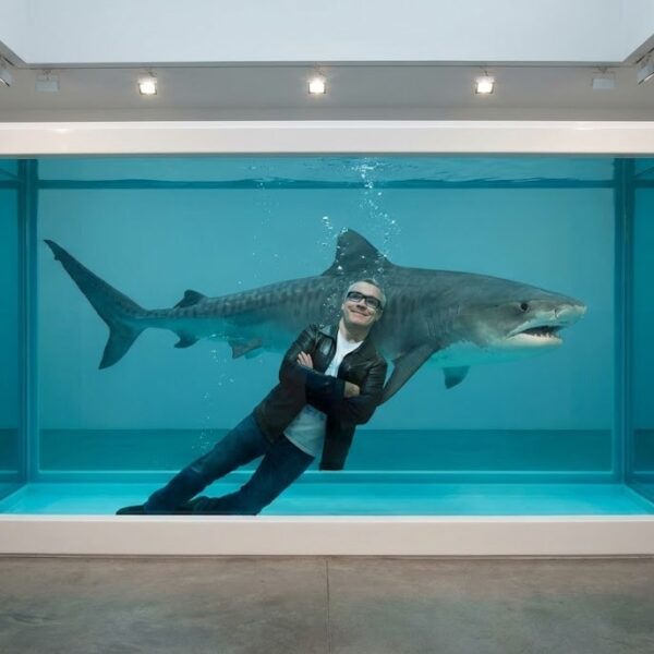 The Conceptual Provocateur